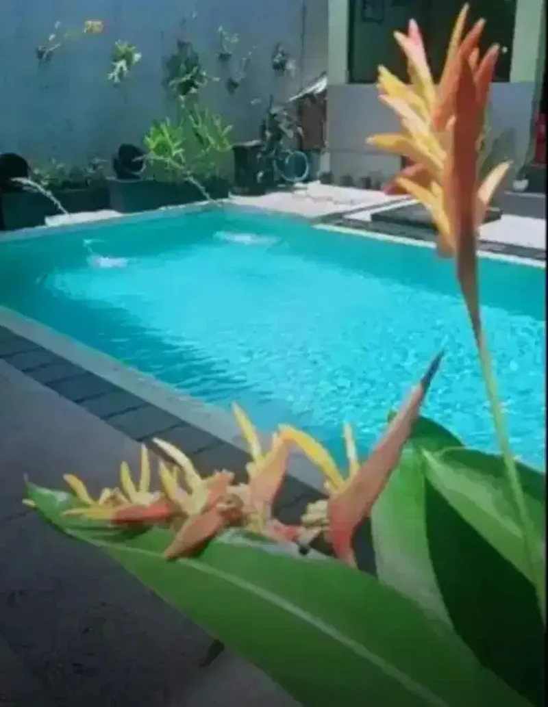 Kost mezanine mahendradata - Real Estate in Bali
