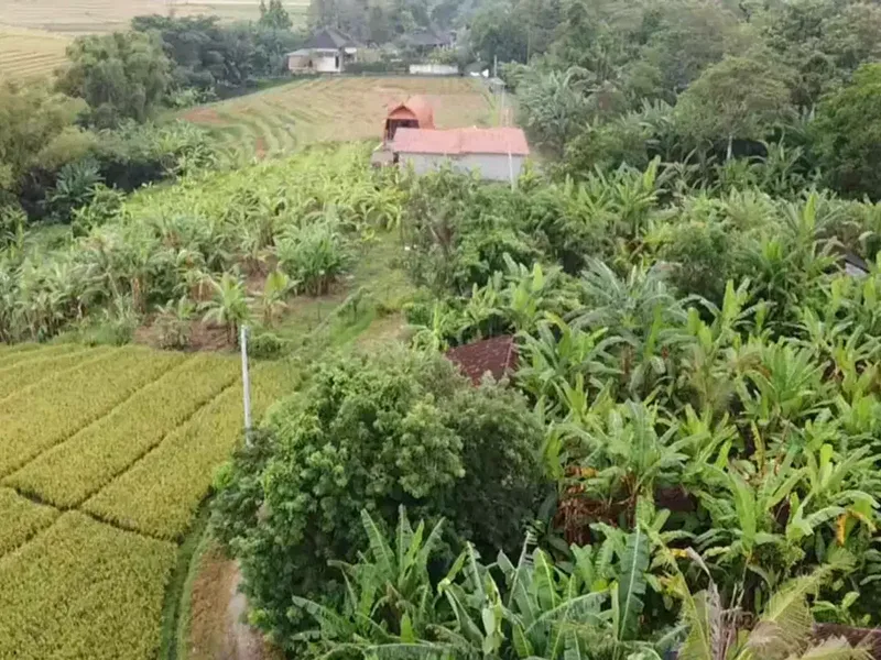 Leasehold - Exclusive Land in Yeh Gangga, Tabanan, Bali - Close to the Beach - Bali in Bali