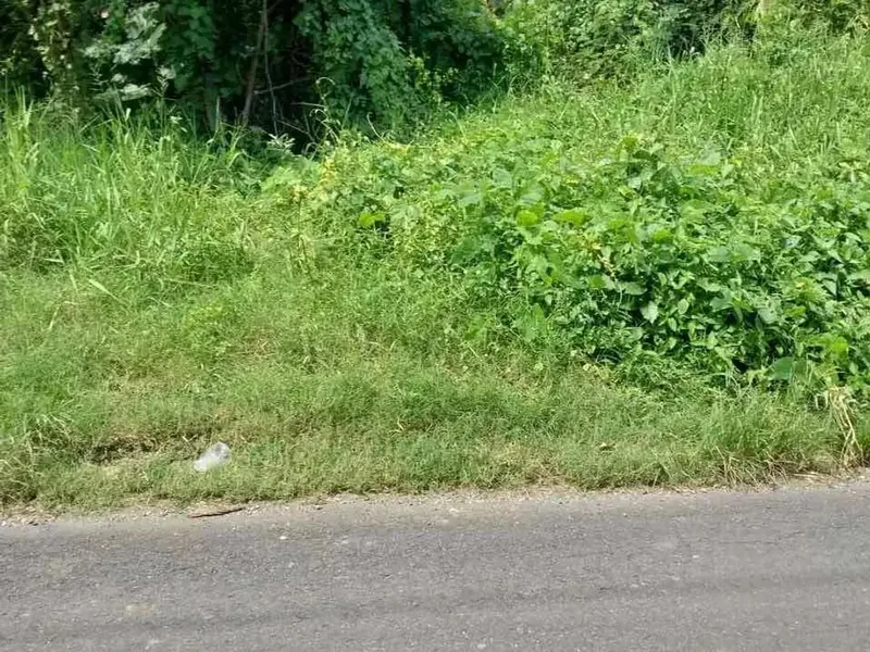 Nyambu Kediri Tabanan Bali - Bali in Bali