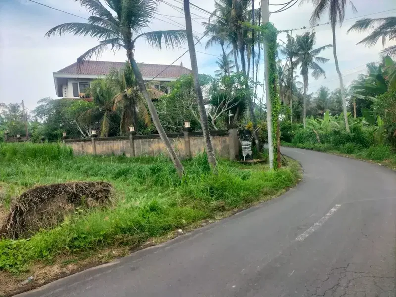 BUC 10 Are Pinggir Jalan Utama Pering Gianyar Bali - Real Estate in Bali