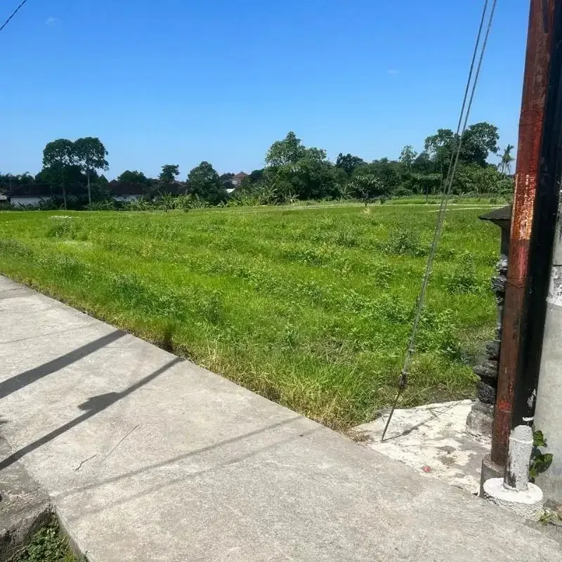 tanah murah zona kuning di buduk prerenan - Real Estate in Bali