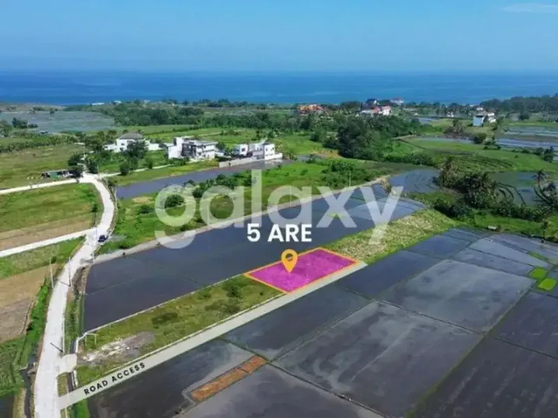 TANAH PREMIUM SIAP BANGUN KEDUNGU DESA BELALANG KEDIRI TABANAN, BALI - Real Estate in Bali
