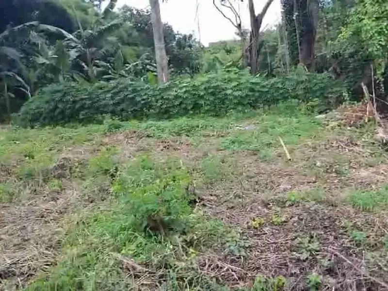 Lahan premium padang galak los Sungai SHM ready zona Pariwisata atau Pink lingkungan asri sangat bagus untuk Komplek villa komersil - Real Estate in Bali