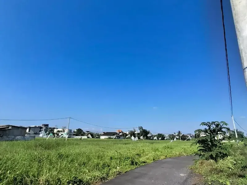 Land for Sale Near Seseh Beach, Mengwi – Suitable for Villa, Guest House & Investment - Bali in Bali