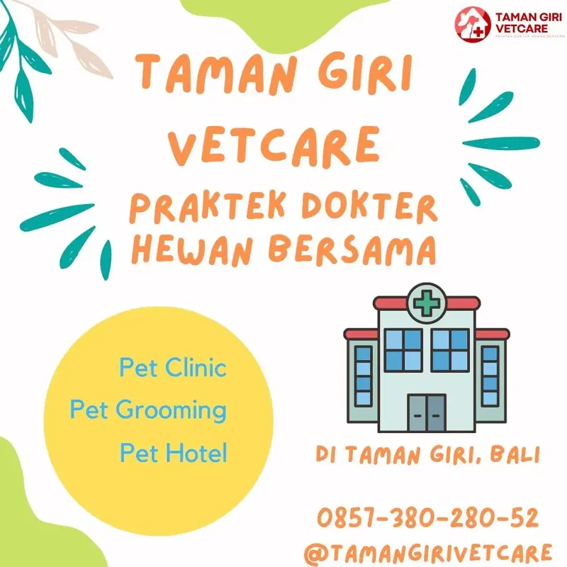 USG CEK DARAH LABORATORIUM HEWAN ANJING DAN KUCING DOKTER HEWAN - Other in Bali