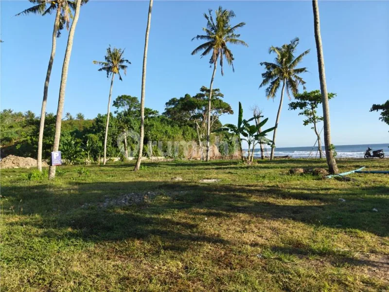 Rare Beach Land - Only 100Meters Walk To Soan Galuh Beach, Tabanan - Bali in Bali