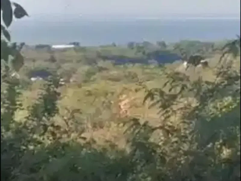 Langka Jarang Ada! Kavling Uluwatu Bali Pemandangan Laut Banyak Peminat - Real Estate in Bali