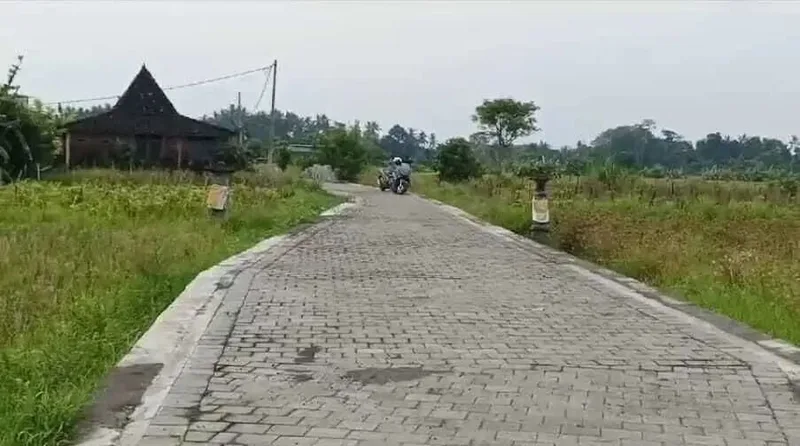 Tanah View Sawah di Ubud Gianyar, Cocok untuk Villa atau Investasi - Real Estate in Bali
