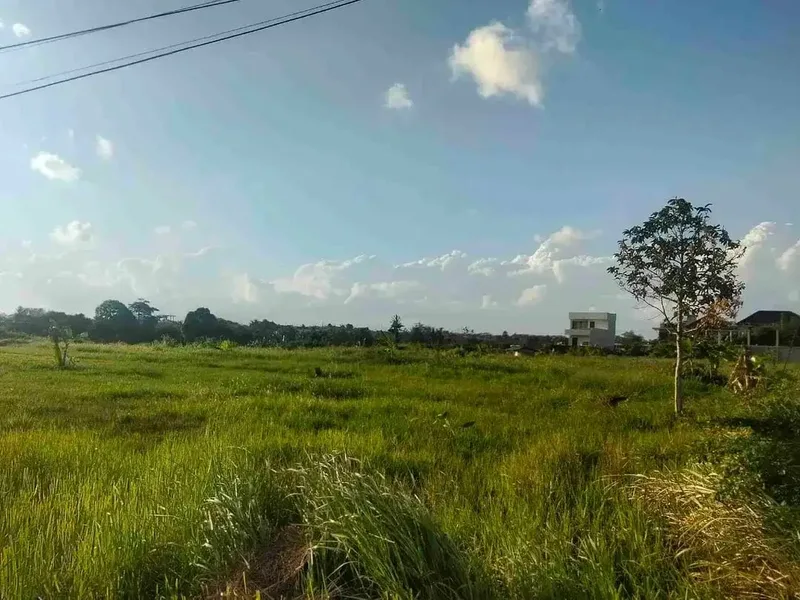 Tanah di jual - Real Estate in Bali