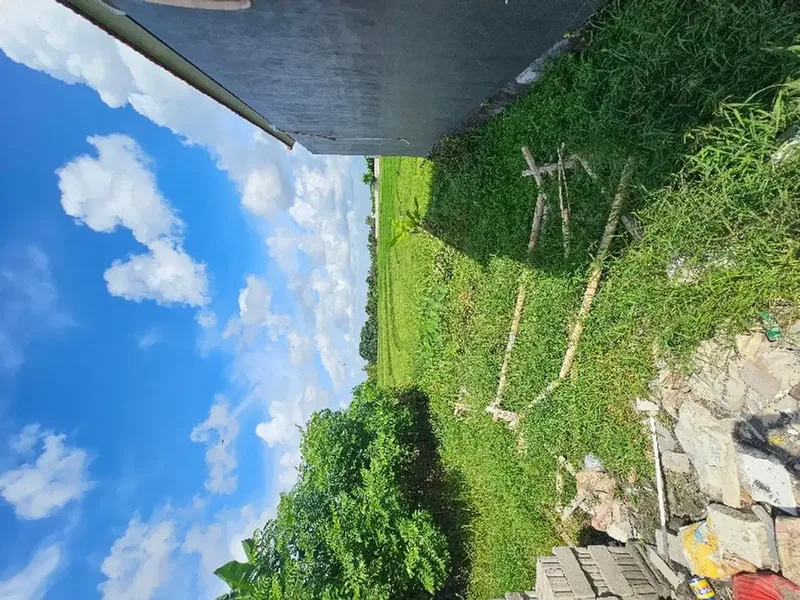 land for rent size 150 sqm in tumbak bayuh - Real Estate in Bali