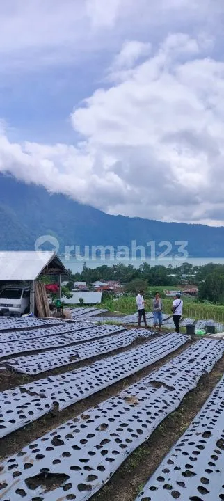 43 are Land Super View Gunung Danau Bukit di Kintamani Bali - Bali in Bali