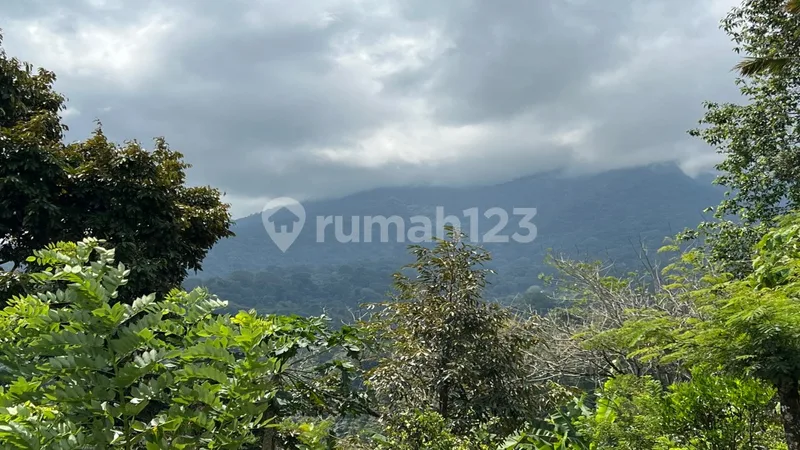 Tanah Buah View Gunung Dan Lembah Indah Di Tabanan Bali. - Bali in Bali