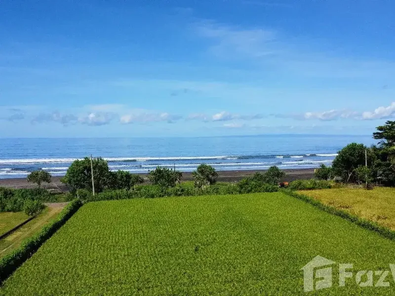 Land for sale in Medewi, Bali - Real Estate in Bali