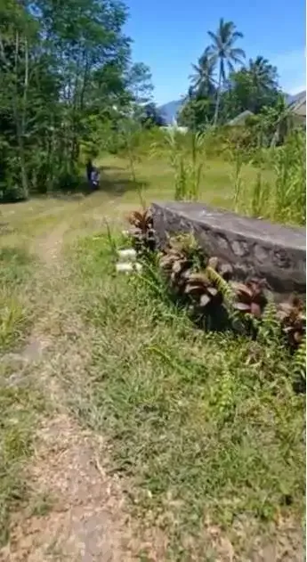 DIJUAL TANAH PINGGIR JALAN RAYA BATURITI BEDUGUL - Real Estate in Bali