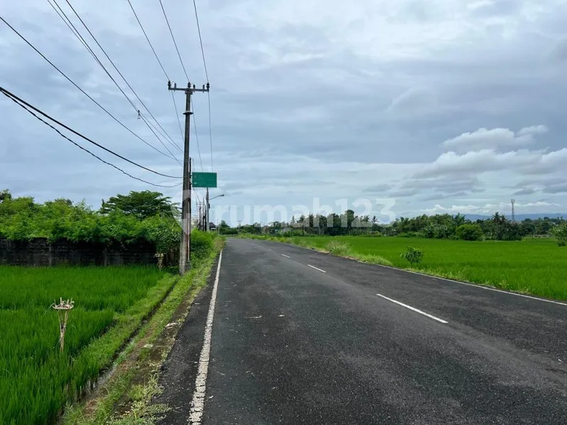 Tanah Dekat Beach Glamping Kedungu Shm 1130.0 M² - Bali in Bali