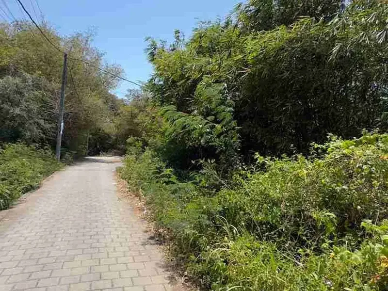 Dijual Tanah 592m2 bisa potong roti di jimbaran - Real Estate in Bali