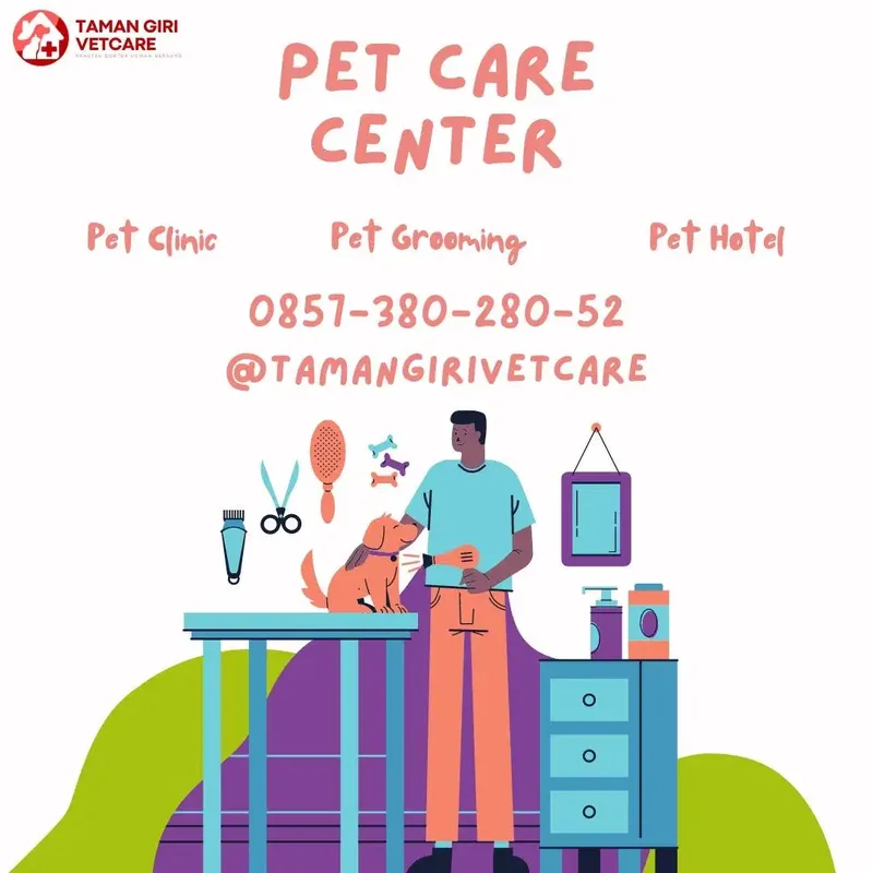 Grooming Vaksinasi Steril Anjing Kucing Dokter Hewan di Nusa Dua - Other in Bali