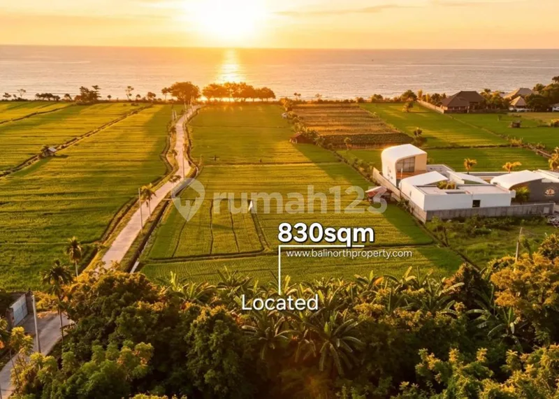 Exclusive Land For Sale In Lovina Area North Bali - Real Estate in Bali