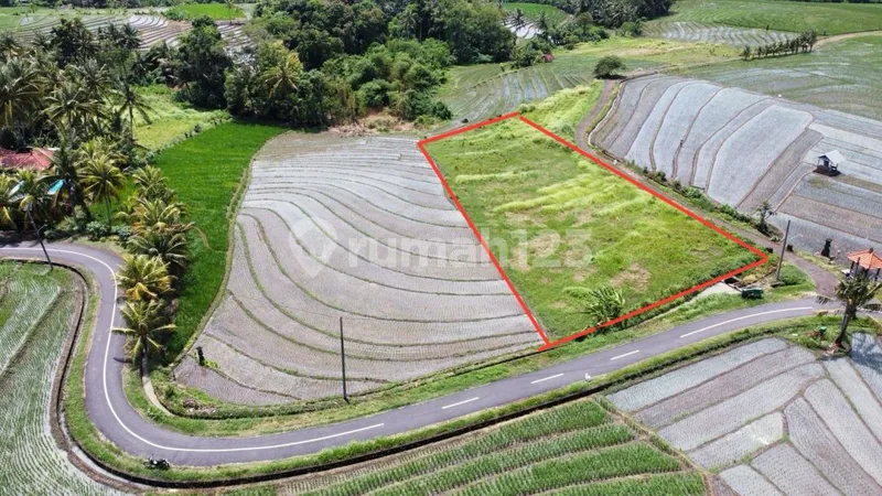 Tanah Murah Luas 22 Are Dekat Pantai Beraban Tabanan - Bali in Bali