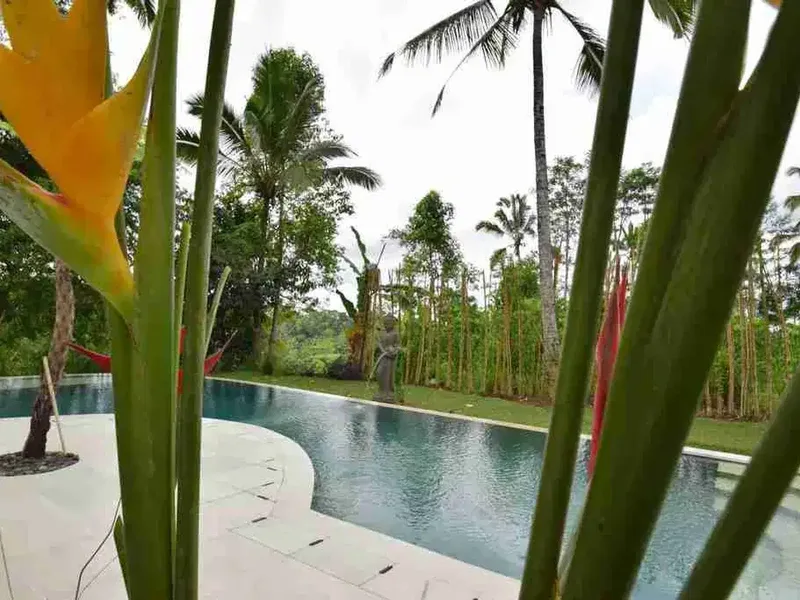 LUXURY MODERN VILLA JUNGLE VIEW AND VALLEY IN TEGALALANG UBUD BALI - Bali in Bali