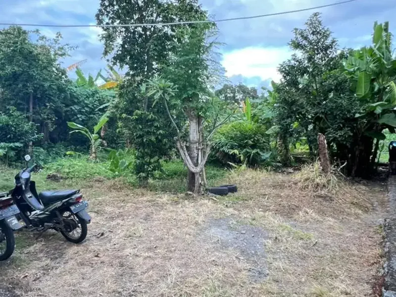 tanah SHM mepet canggu, villa area, view sawah itr kuning - Real Estate in Bali