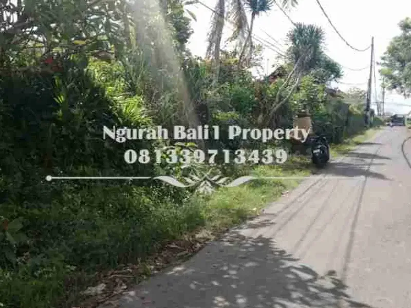 Land For Rent  Luas 900 m2 Kawasan Villa Terletak di Sayan Kelod Ubud - Real Estate in Bali