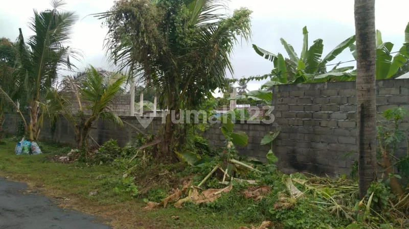 Tanah Murah Kmenuh Selatan Ubud Siap Bangun - Real Estate in Bali