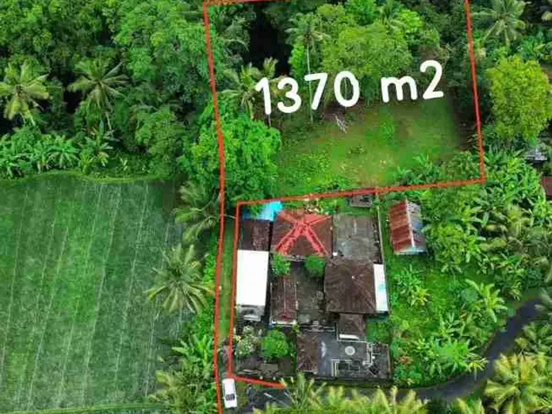 Siap Bangun Vila, Tanah Datar View Sawah di Ubud Gianyar - Real Estate in Bali