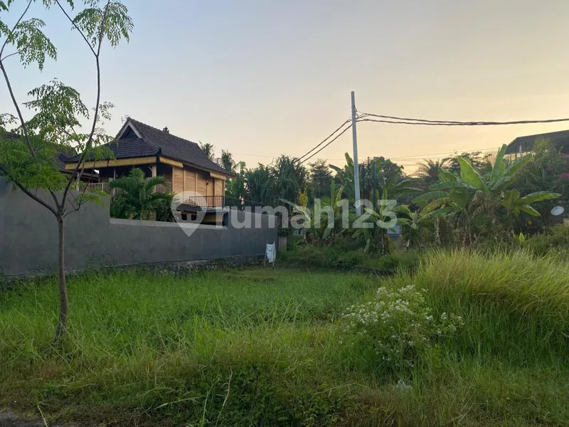 Strategic 370 MÂ² Freehold Land For Sale In Lovina - Real Estate in Bali
