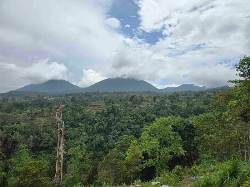 Dijual tanah datar landai view gunung dan lembah di tabanan bali - Real Estate in Bali