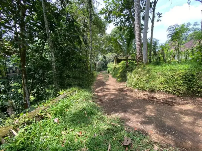 FREEHOLD LAND FOR SALE IN UBUD - Real Estate in Bali