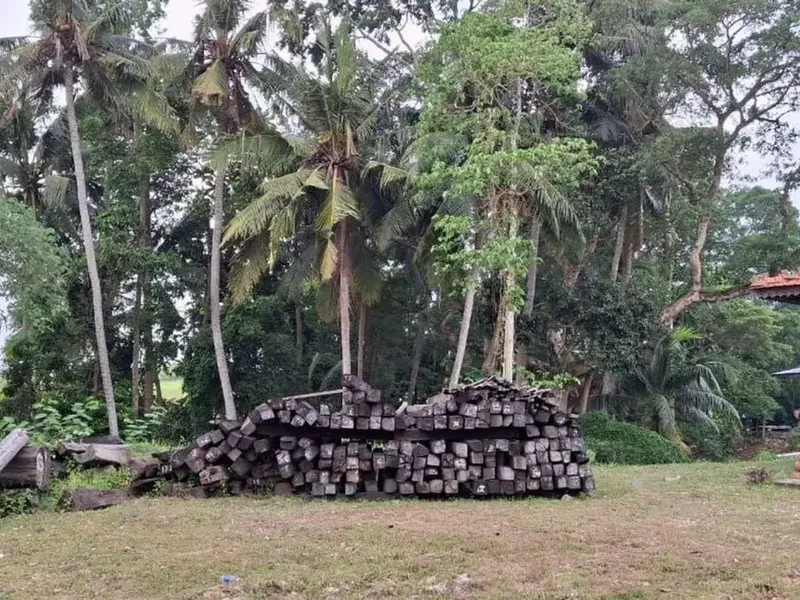 Tanah 28,75 Are View Sawah Dijual, di Tanah Lot Tabanan Area - Real Estate in Bali