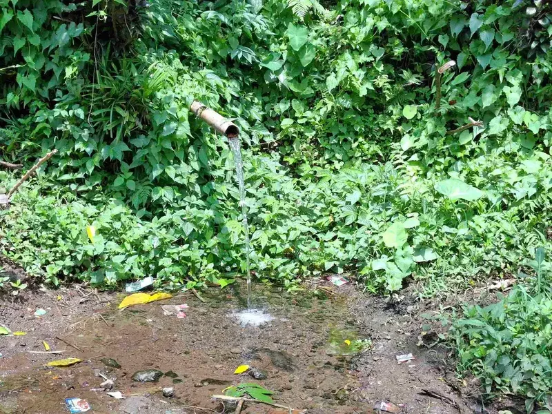 Dijual tanah kebun kopi berisi sumber mata air jernih atau artesis yang mengalir dengan view sawah dan los sungai kecil berbatu - Bali in Bali