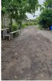 TANAH 1 HEKTAR DI BELAKANG KAMPUS UNUD - Real Estate in Bali