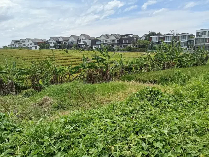 DIJUAL / FREEHOLD : Tanah Kosong View Paddie, di Pantai Cemagi, Bali - Real Estate in Bali