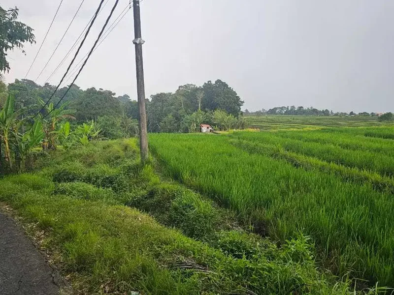 tanah di kedungu tanah lot,langsung sungai diblkng tanah,aspek kuning - Real Estate in Bali