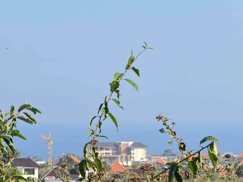 DIJUAL TANAH UNBLOCK OCEAN VIEW – UNGASAN, BALI - Bali in Bali
