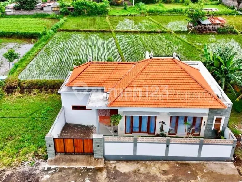 Beautiful Villa For Sale Or Rent In Lovina, North Bali - Real Estate in Bali