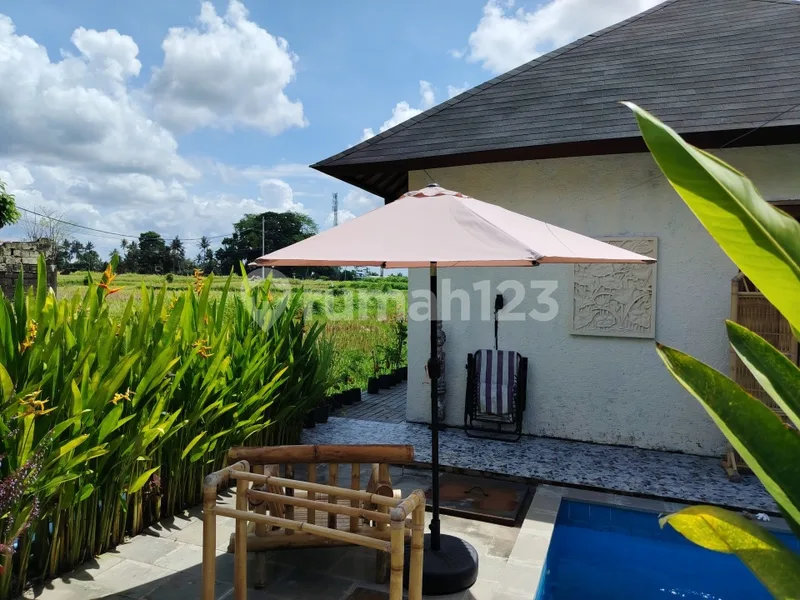 For Rent Villa Ubud Most Beautiful Rice Fields View In Ubud Gianyar Bali Indonesia 10 Menutes From Mongkey Forest Center Ubud Bali Indonesia Strategis With Rice Field View Ubud Gianyar Bali Indonesia - Real Estate in Bali