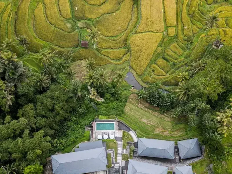 Freehold - Rice Field Vista Retreat Serene Luxury Living in Ubud's Panoramic Paradise - Real Estate in Bali