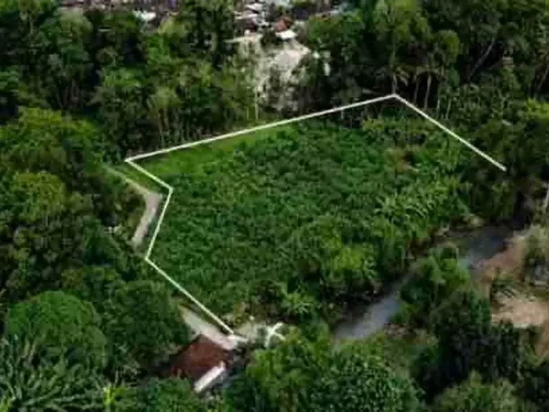 tanah 95 are tabanan cocok untuk bisnis Anda - Bali in Bali