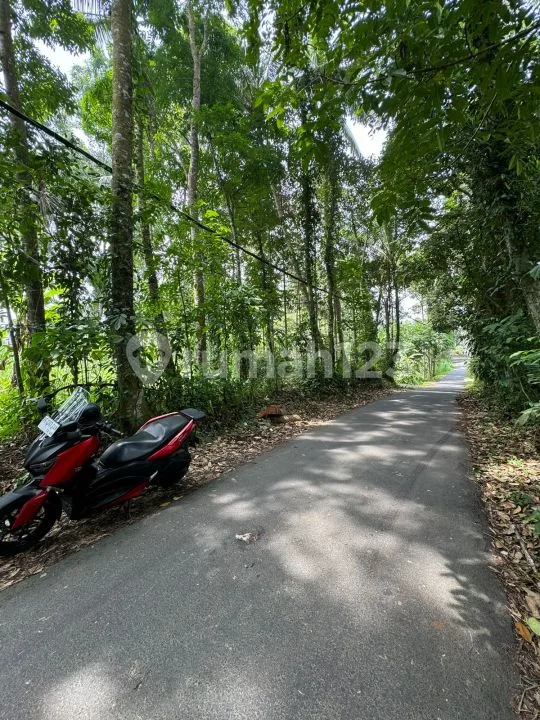 Dijual Murah Tanah Datar - Jalan Raya Kelusa Payangan, Dekat Ubud - Real Estate in Bali