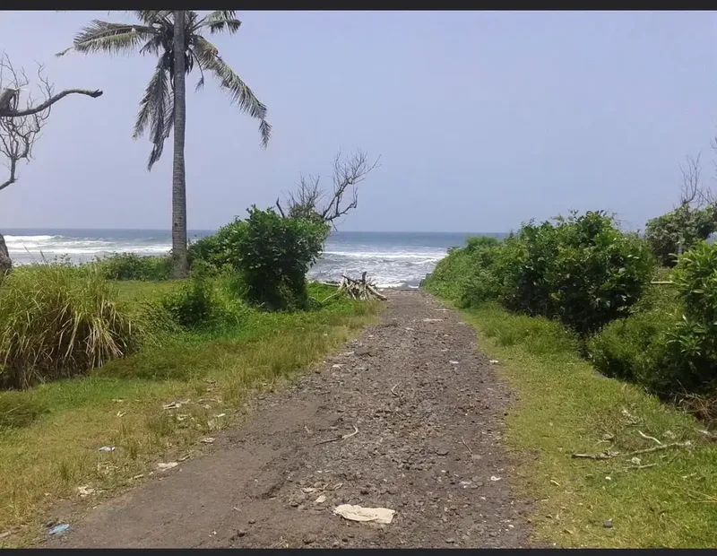 DIJUAL TANAH LOS PANTAI BERABAN DAN SUNGAI DI TABANAN - Real Estate in Bali