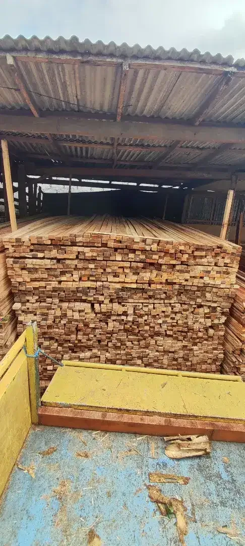 Dijual Kayu Usuk Lokal - Other in Bali