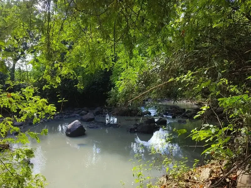 Dijual tanah murah los  sungai bebatuan dan view sawah ddi bali. - Bali in Bali