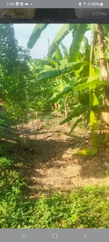 tanah kontrak di umalas tunon dekat Berawa - Real Estate in Bali