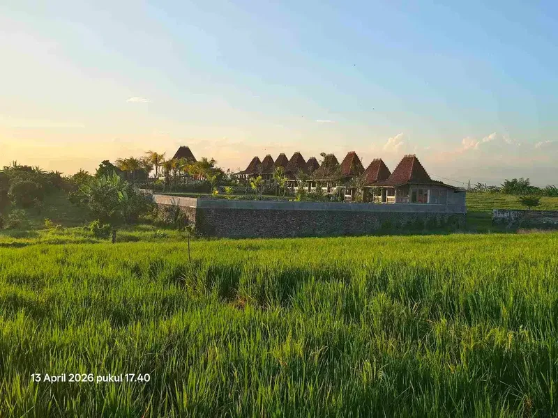 Tanah View Sawah Gunung dan Laut dekat Pasut dan Kelating Bali - Bali in Bali