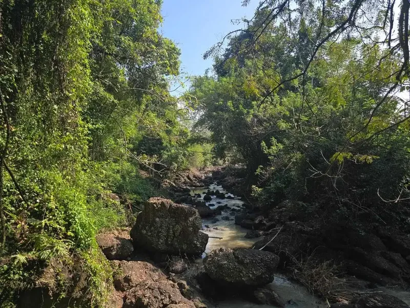 Dijual tanah los sungai luasin kecil di selemadeg - Real Estate in Bali
