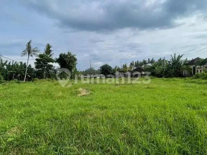 Tanah Kavling Strategis 119M² Siap Bangun Bongan Tabanan, Hadap Barat, SHM, Rp 316 Juta - Real Estate in Bali