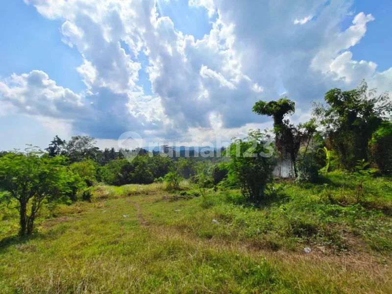 Rare Commercial Land On The Main Denpasar-Gilimanuk, Tabanan Bali - Bali in Bali